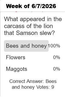 quiz